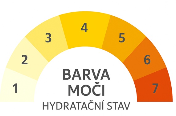 Hydratace-neni-jen-o-vode-1-clanek-proteinaco